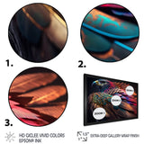 Macro Colorful Feather Eagle II