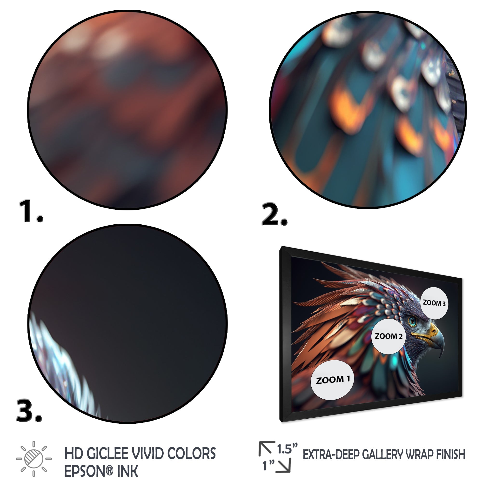 Macro Colorful Feather Eagle V