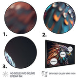 Macro Colorful Feather Eagle V