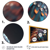 Macro Colorful Feather Eagle V