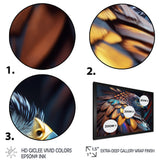 Macro Colorful Feather Eagle VI