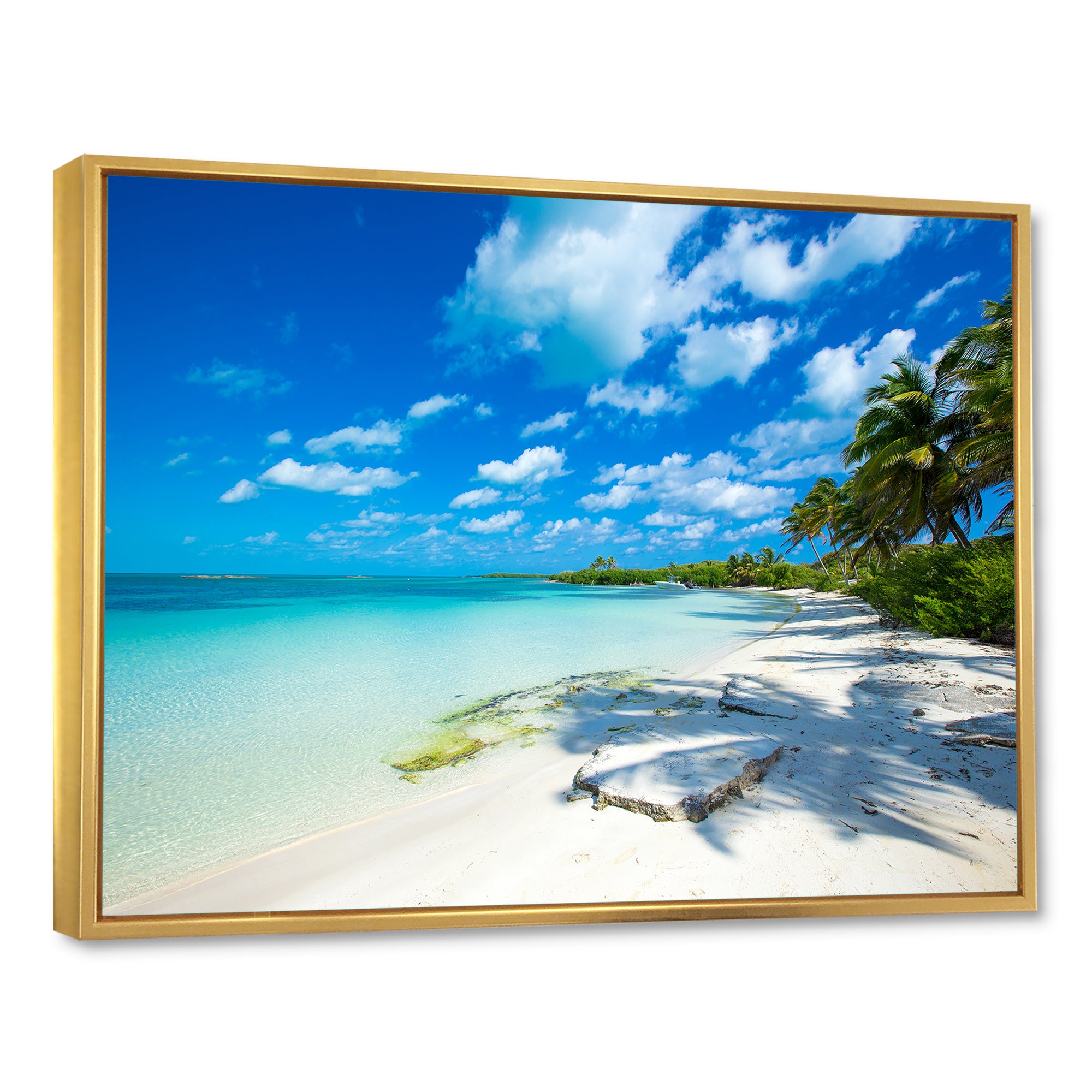 Tropical Beach with Palm Shadows Wall Art
