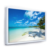 Tropical Beach with Palm Shadows Wall Art