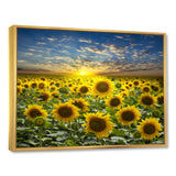 Field of Blooming Sunflowers Wall Art