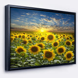 Field of Blooming Sunflowers Wall Art