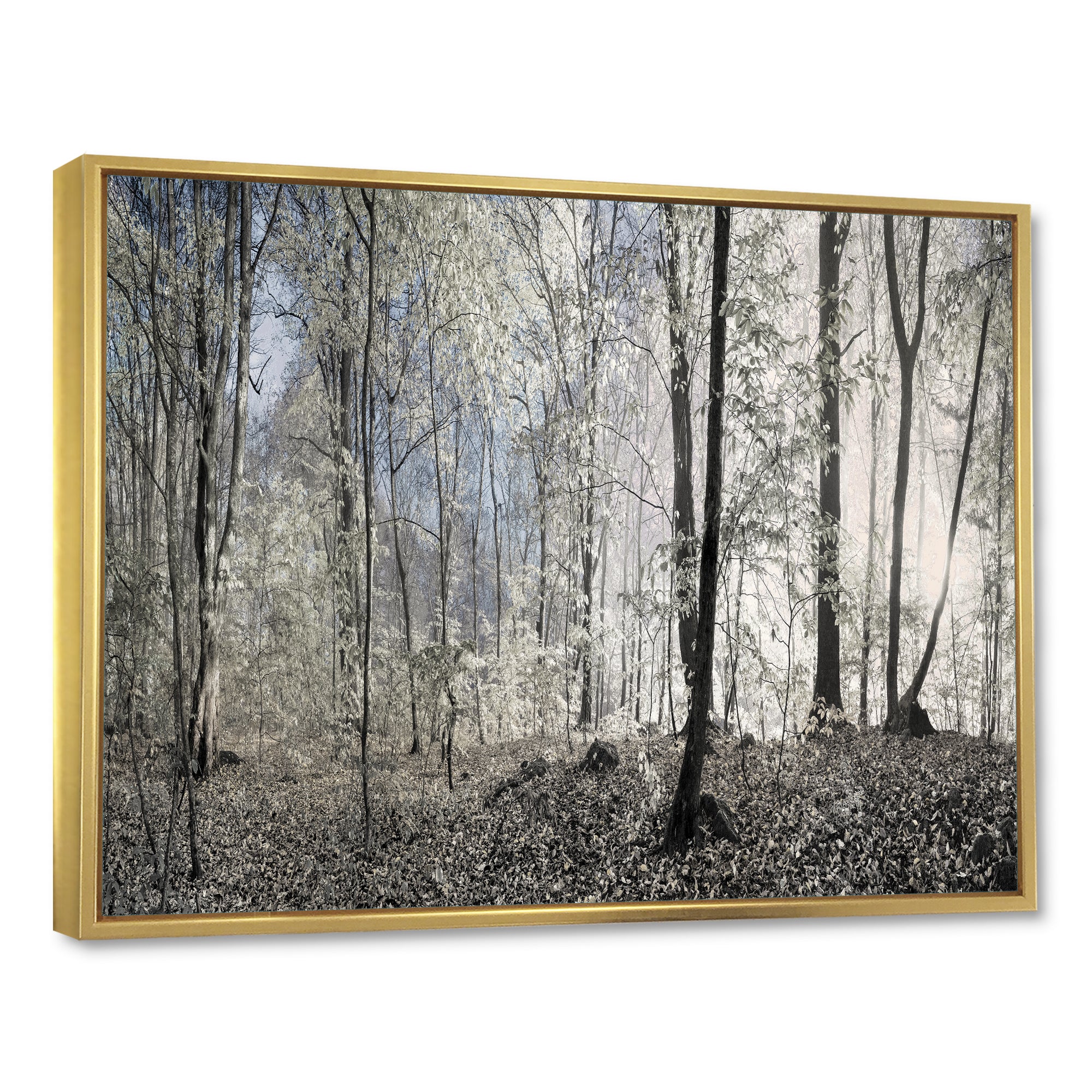 Dark Morning in Forest Panorama Wall Art