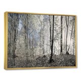Dark Morning in Forest Panorama Wall Art