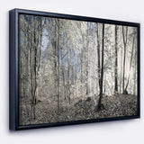 Dark Morning in Forest Panorama Wall Art