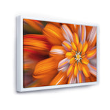 Massive Orange Fractal Flower Wall Art