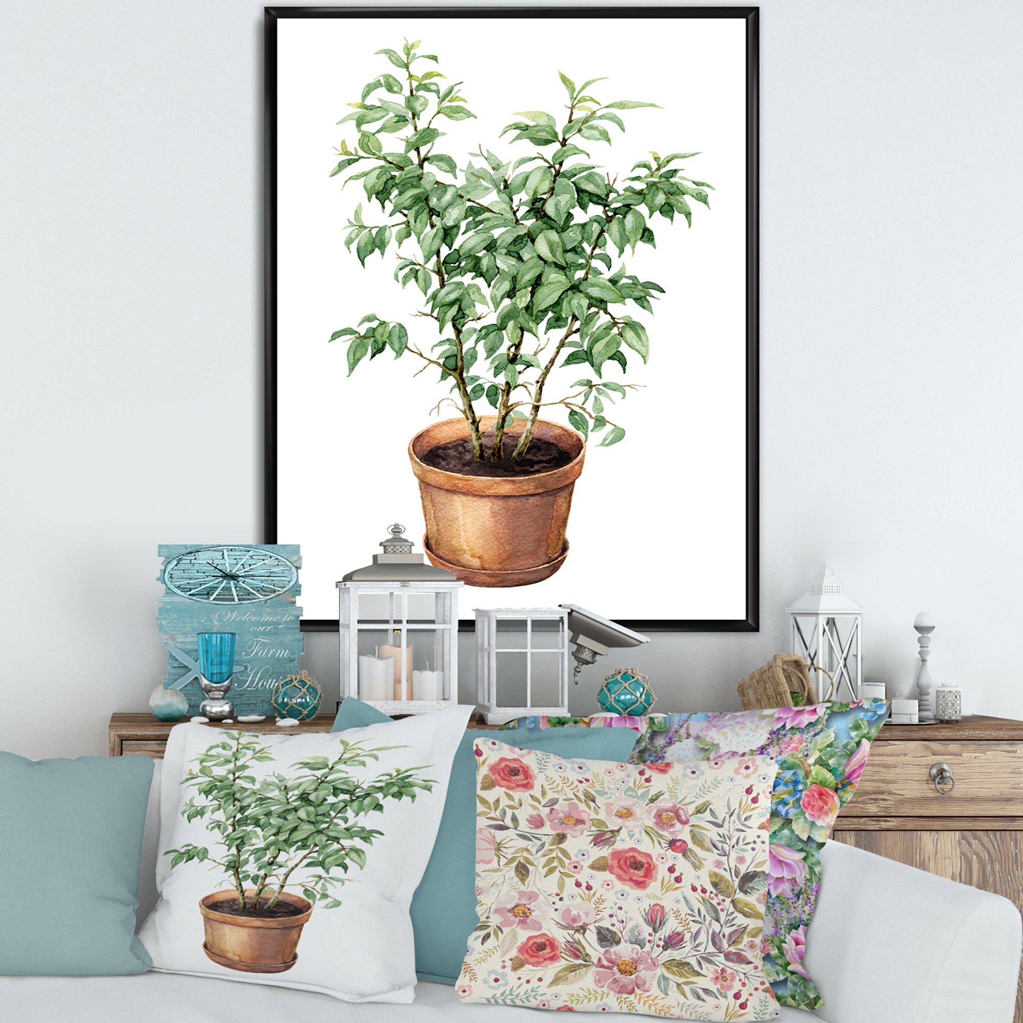 Ficus Benjamina In Clay Flowerpot