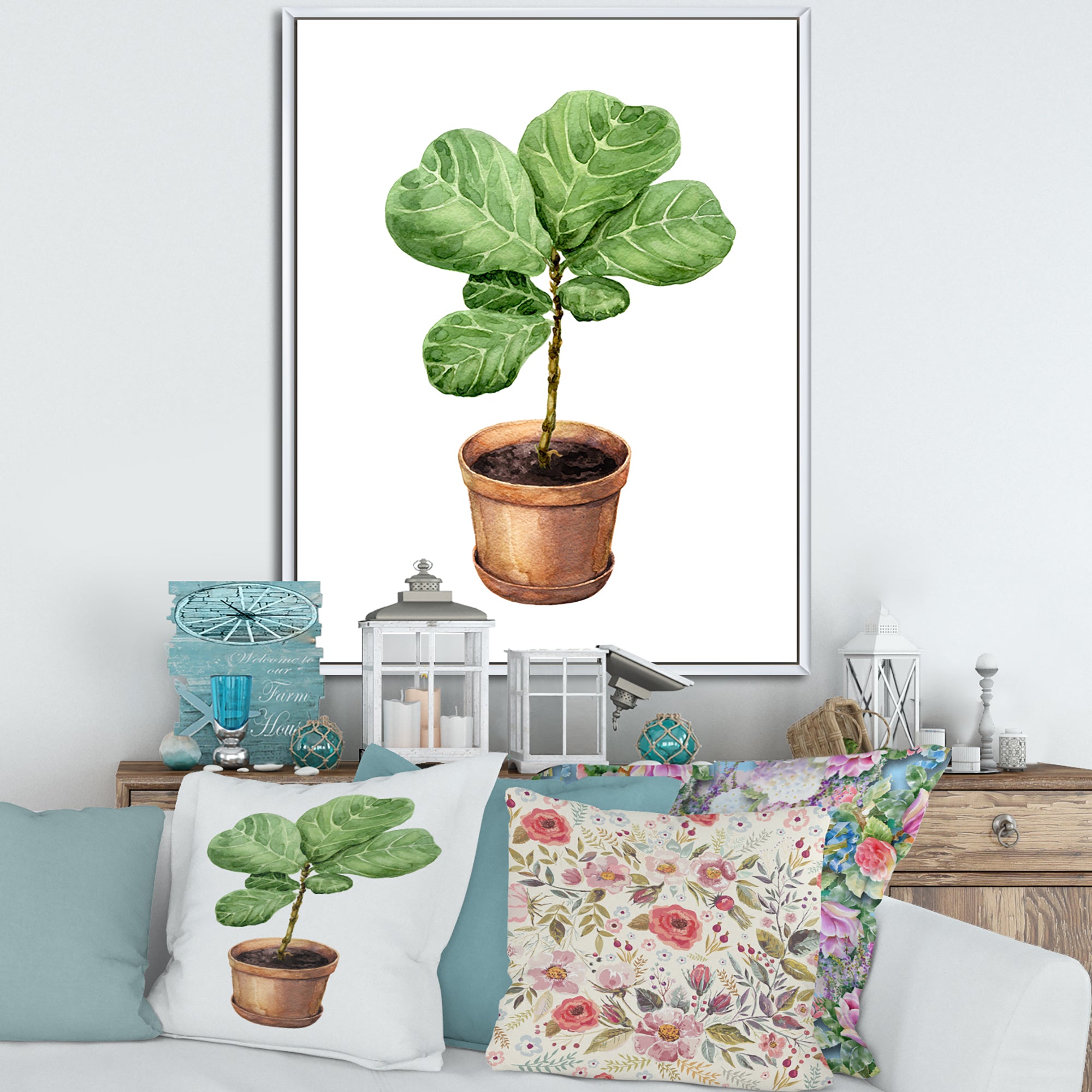 Ficus Lyre In Clay Flowerpot