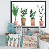 Duo of Potted Flowers House Plants