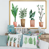 Duo of Potted Flowers House Plants