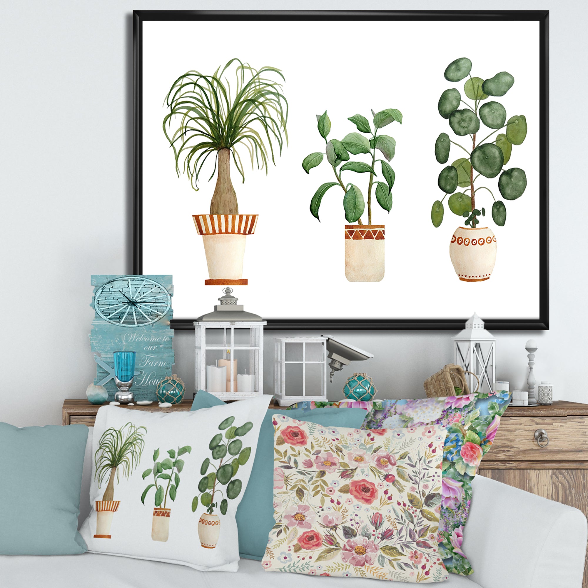 Trio of House Plants Ponytail Palm and Ficus