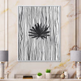 Black and White Tropical Leaf On Striped III