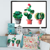 Three Cactus In Clay Pots