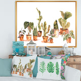 Indoor House Plants Urban Jungle I