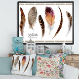 Exotic Vibrant Boho Feathers