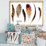 Exotic Vibrant Boho Feathers