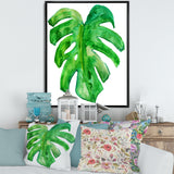 Tropical Leaf Of Monstera I