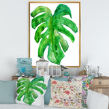 Tropical Leaf Of Monstera I