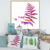 Purple Fern