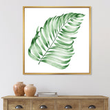 Tropical Leaf Of Monstera II