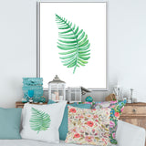 Tropical Leaf Of Monstera III