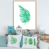 Tropical Leaf Of Monstera III