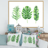 Tropical Leaf Of Monstera IV