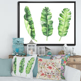 Tropical Banana Leaves Set