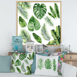 Tropical Leaf Of Monstera V