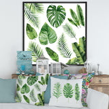 Tropical Leaf Of Monstera V