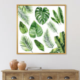 Tropical Leaf Of Monstera V