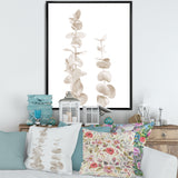 Beige Eucalyptus Branches On White