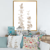 Beige Eucalyptus Branches On White