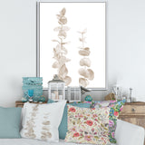 Beige Eucalyptus Branches On White