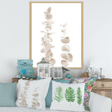 Beige Eucalyptus Branches On White