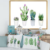 Cactus Succulent Aloe Vera Home Plants In The Pots