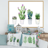 Cactus Succulent Aloe Vera Home Plants In The Pots