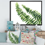 Fern Leaves Detail I