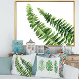 Fern Leaves Detail I