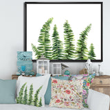 Fern Leaves Detail II