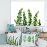 Fern Leaves Detail II