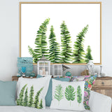Fern Leaves Detail II