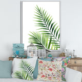 Fern Leaves Detail III