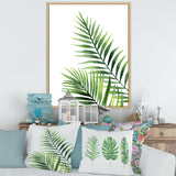 Fern Leaves Detail III