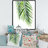 Detail Tropical Palm Branches