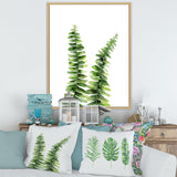 Fern Plant In Greenbotanical Detail