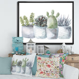 Cactus and Succulent House Plants I